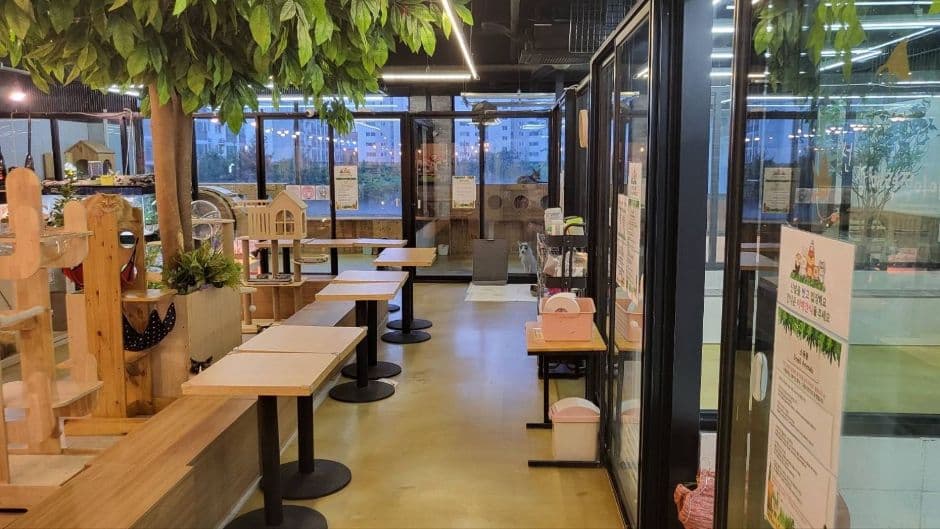 마리앤쥬 대표 이미지