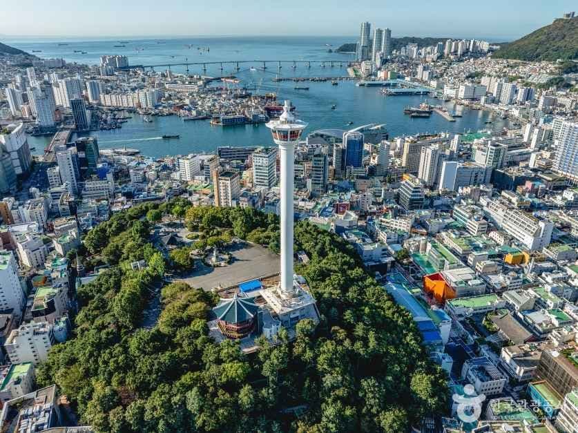 용두산공원 대표 이미지