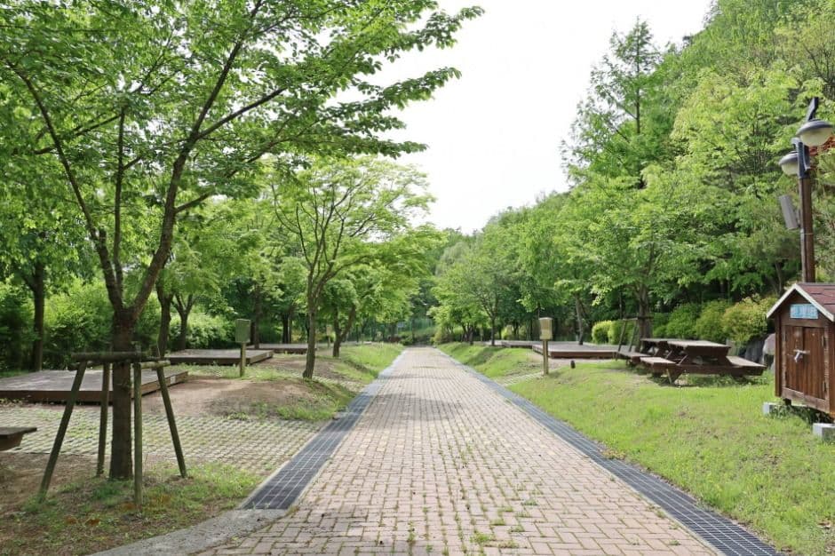 팔공산국립공원 도학야영장 대표 이미지