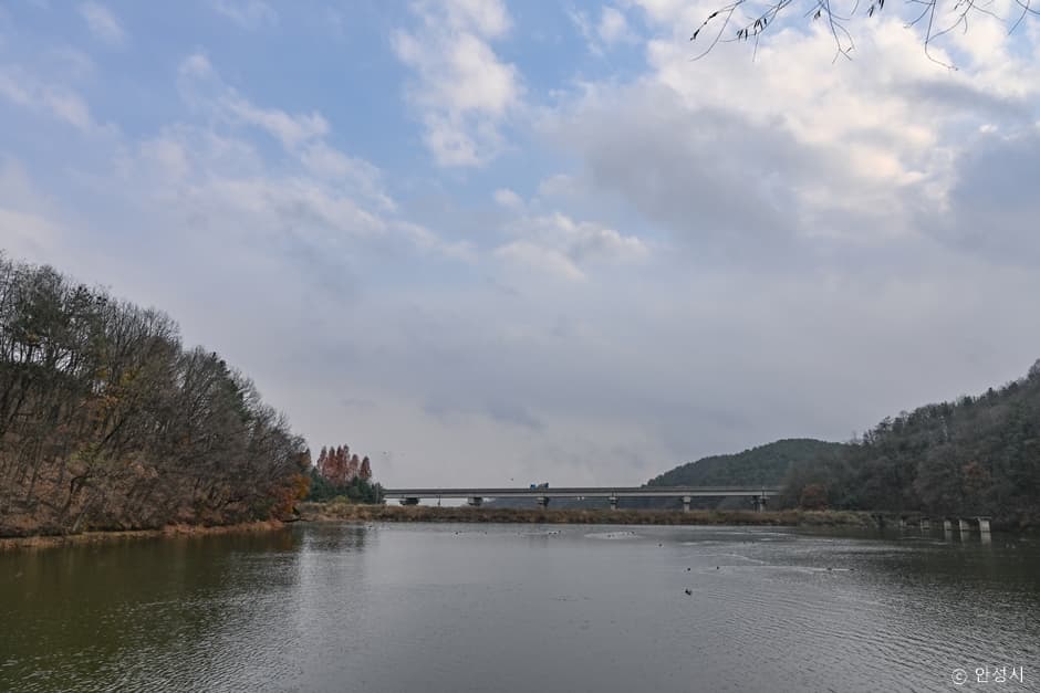 천덕제(동항저수지) 대표 이미지