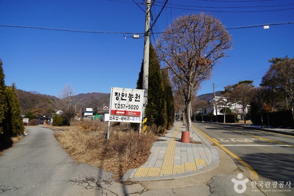 장안농원 대표 이미지