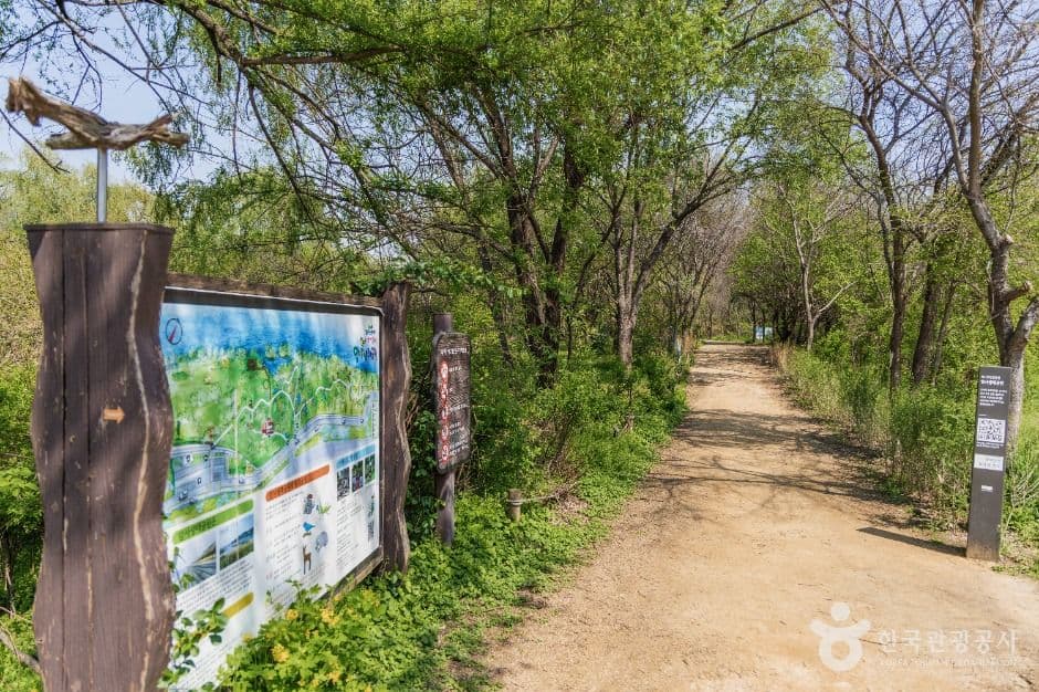광나루한강공원 암사생태공원 대표 이미지
