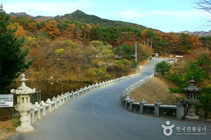 팔공산국립공원(동화사지구) 대표 이미지