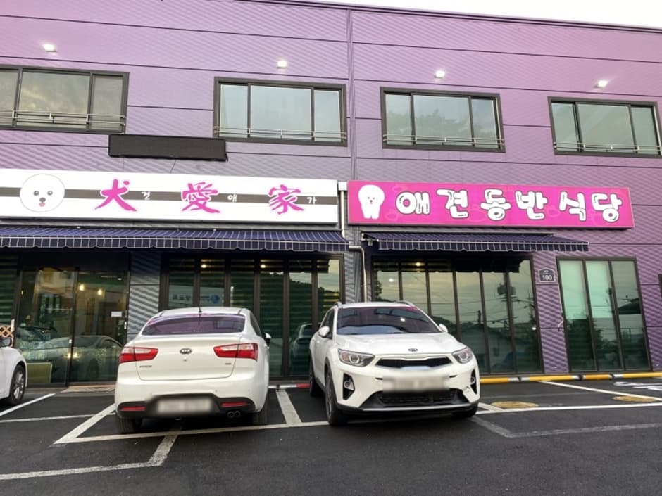 견애가 대표 이미지