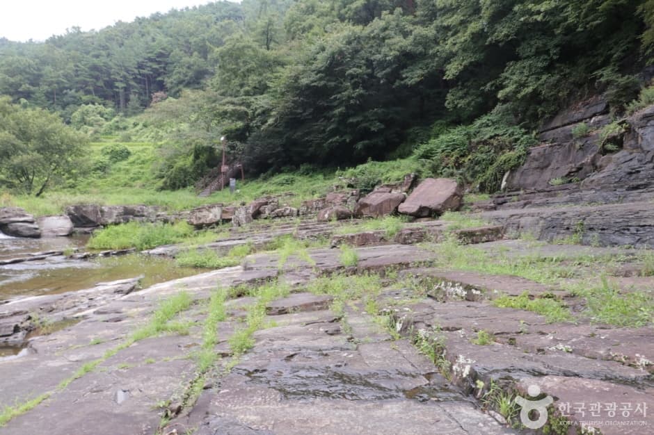 천전리공룡발자국화석 대표 이미지