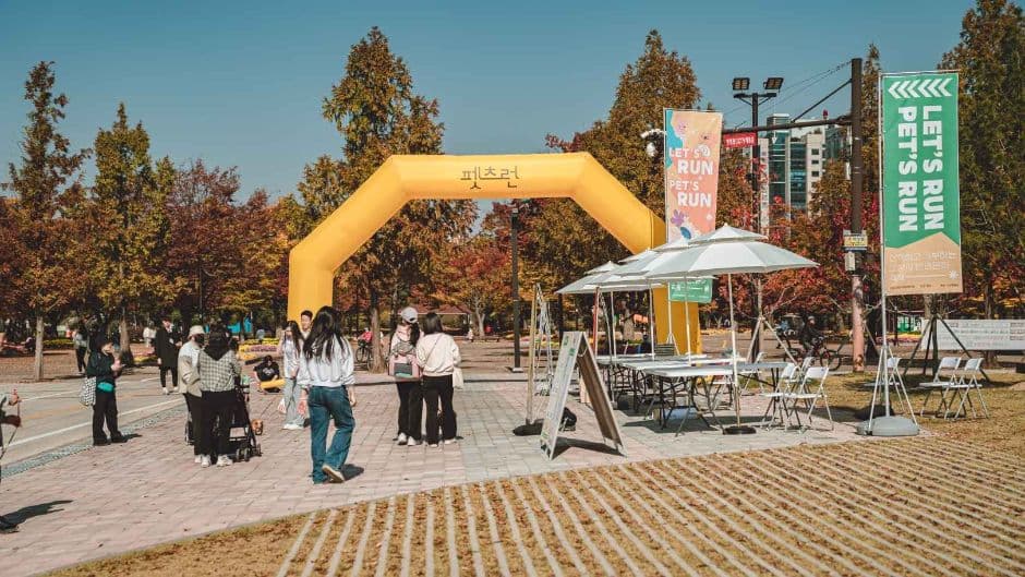 펫츠런 대표 이미지