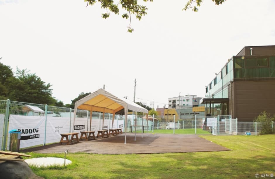 라드독 대표 이미지