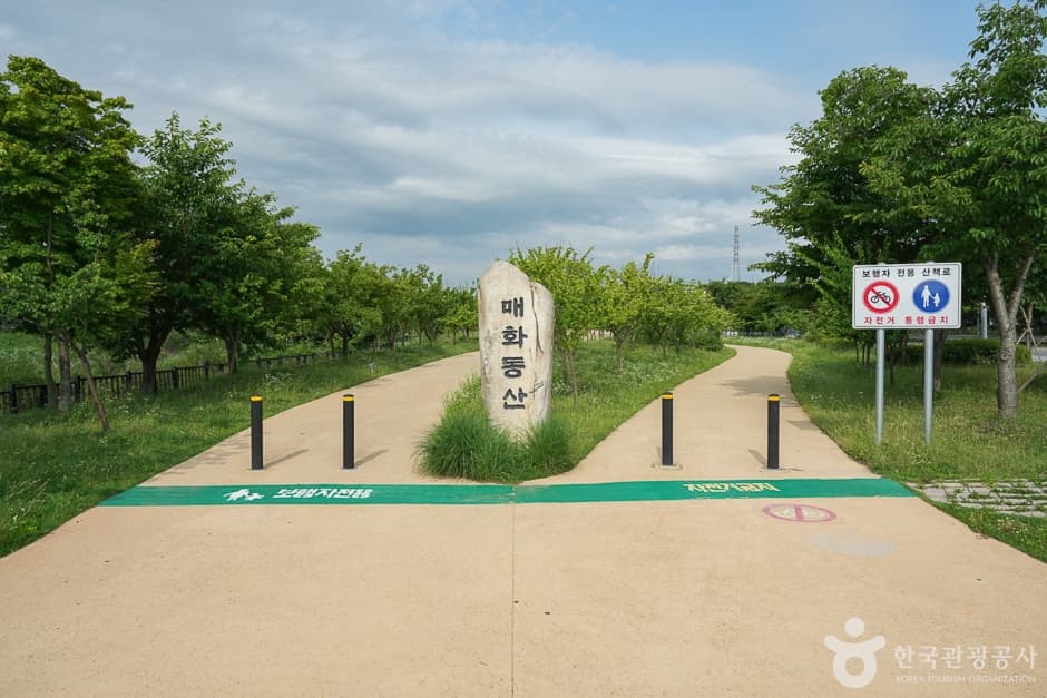 경인아라뱃길 매화동산 대표 이미지