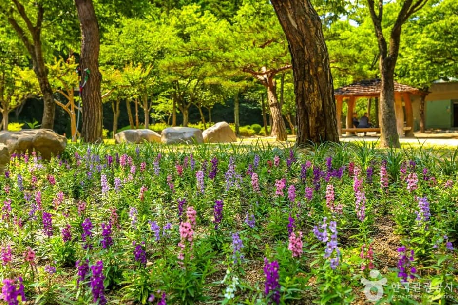 대구앞산공원 대표 이미지