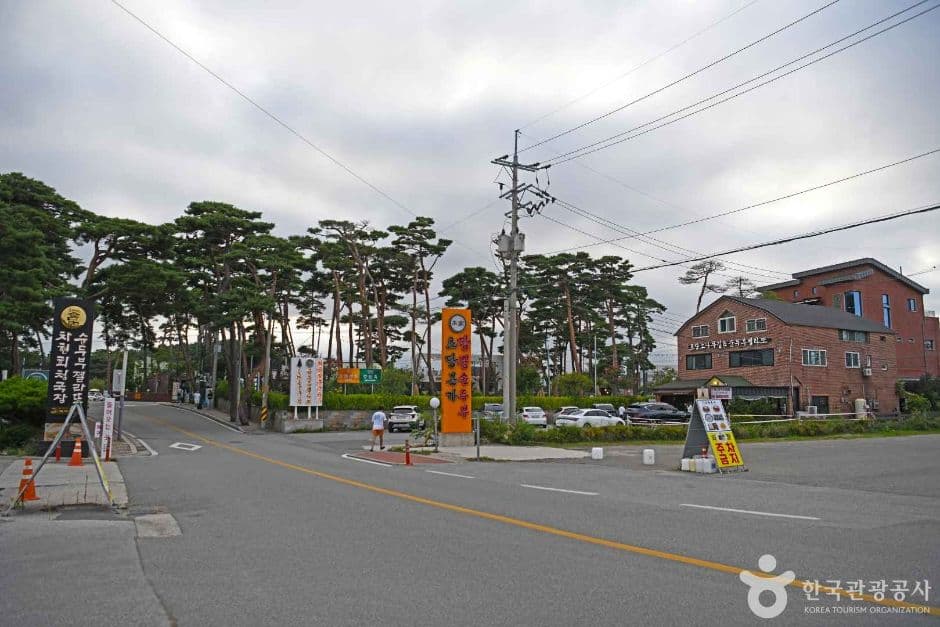 초당순두부마을 대표 이미지
