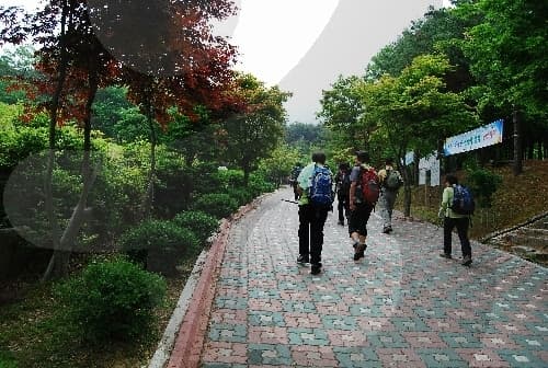 너무 아름다운 뷰! 뷰! 뷰! 멋진 전망만 쏙 골라 놓은 코스 대표 이미지