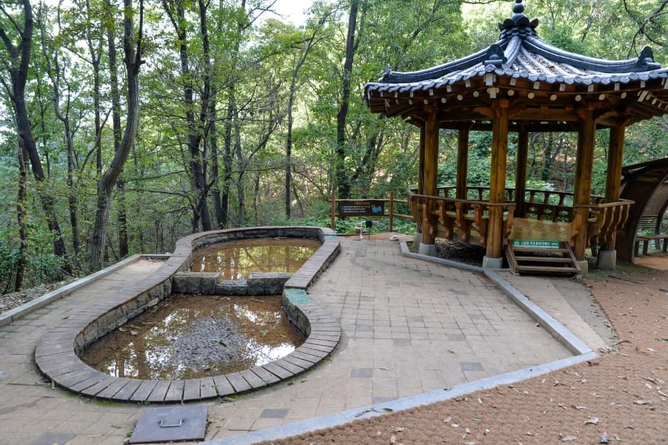 장동산림욕장 대표 이미지