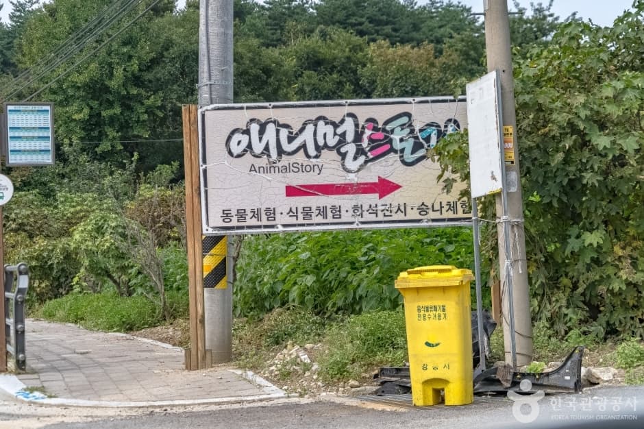 애니멀스토리 대표 이미지