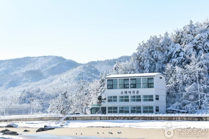 스테이가진 대표 이미지