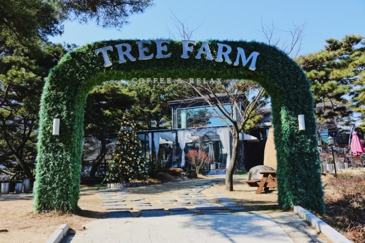 트리팜 대표 이미지