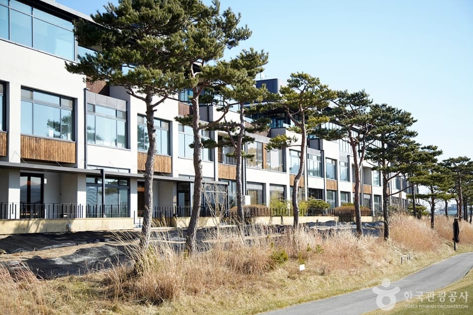 메이플비치 골프&리조트 대표 이미지