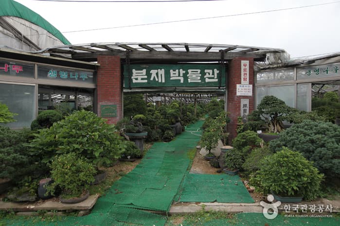 분재박물관 대표 이미지
