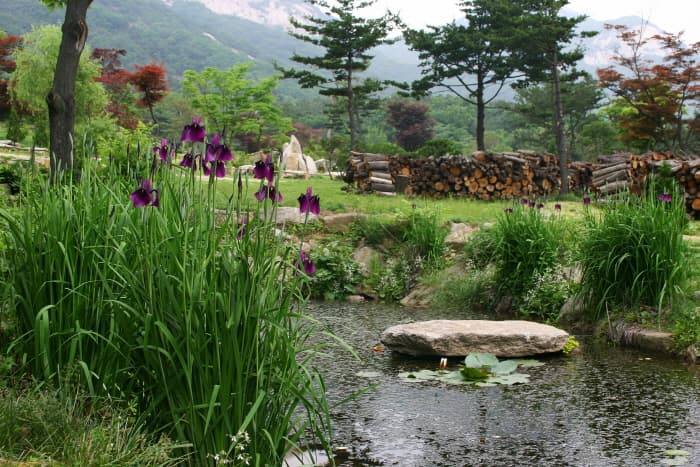 슬로우 슬로우~ 시원한 강바람을 맞으며 달리다. 대표 이미지