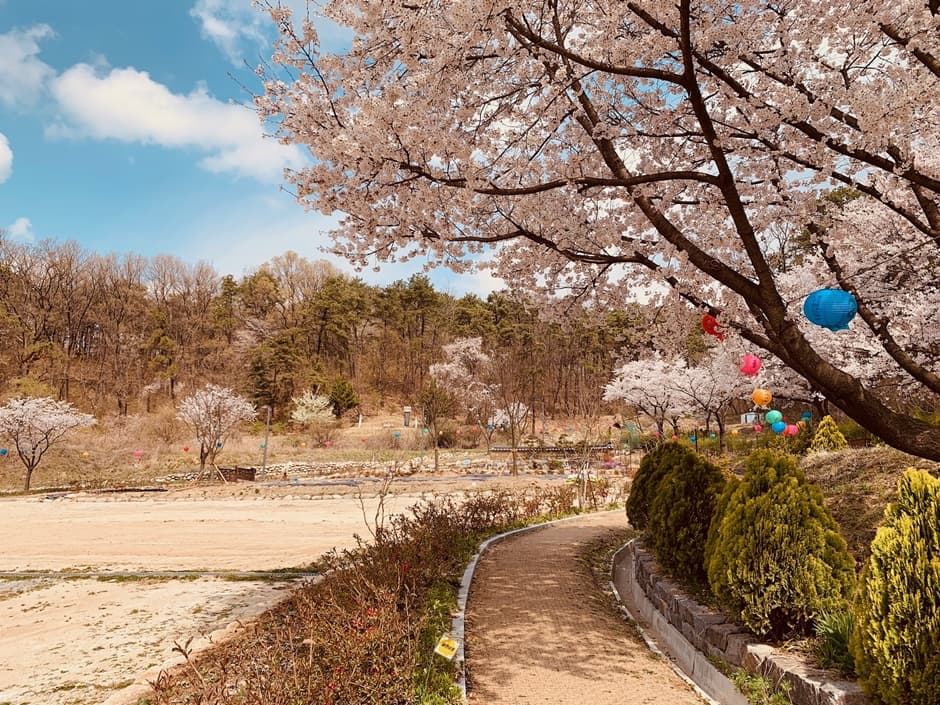 보현선원 대표 이미지