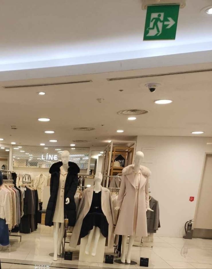 라인 대표 이미지