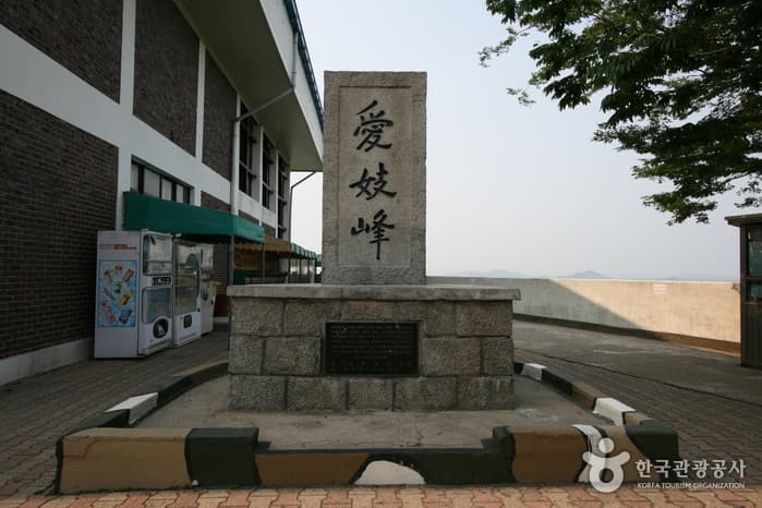 통일을 꿈꾸는 김포 문화역사 탐방 대표 이미지