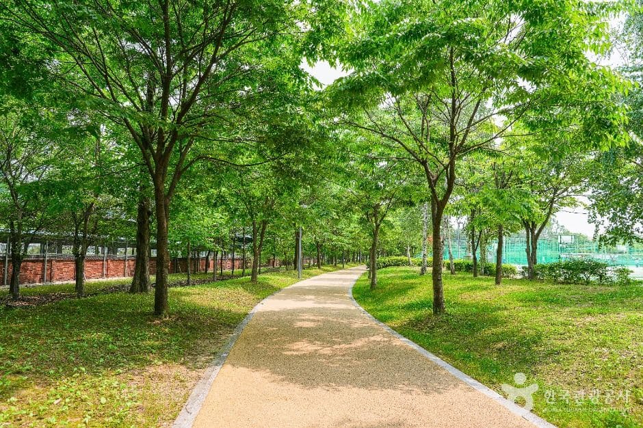 서호꽃뫼공원 대표 이미지