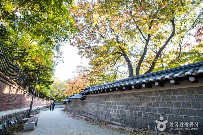 덕수궁 돌담길 대표 이미지