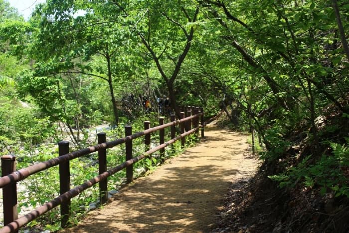 계룡산 수통골 대표 이미지