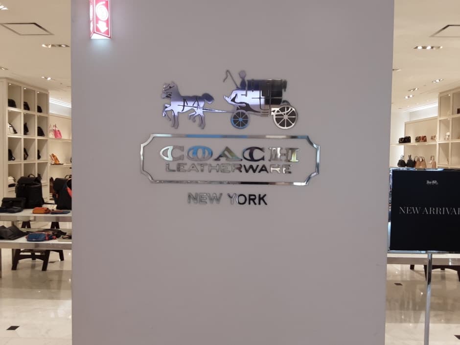 코우치 롯데일산 대표 이미지