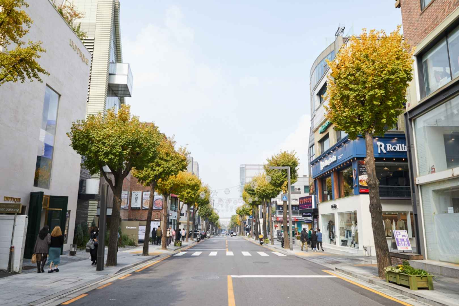 신사동 가로수길 대표 이미지