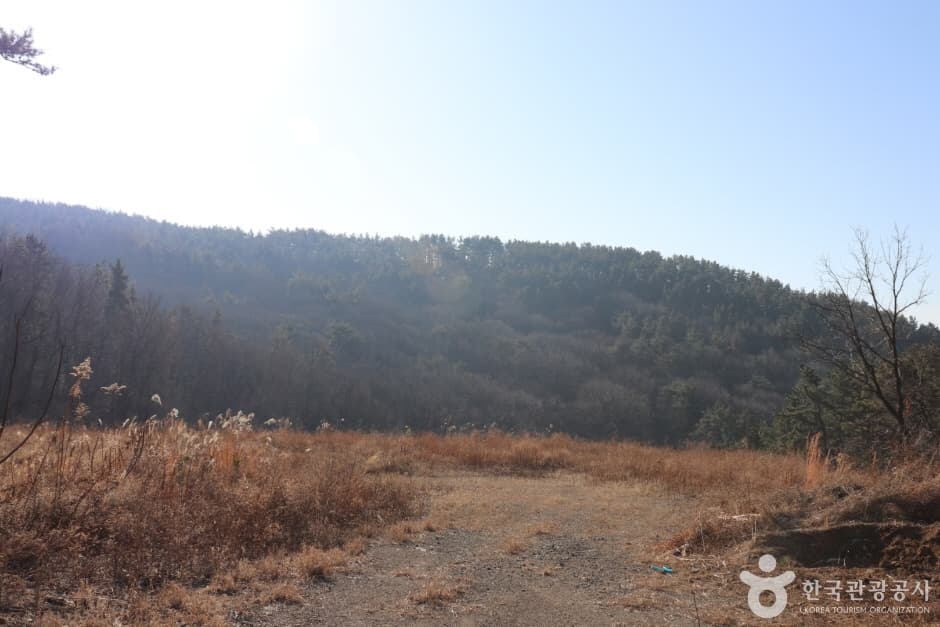 용골산 대표 이미지