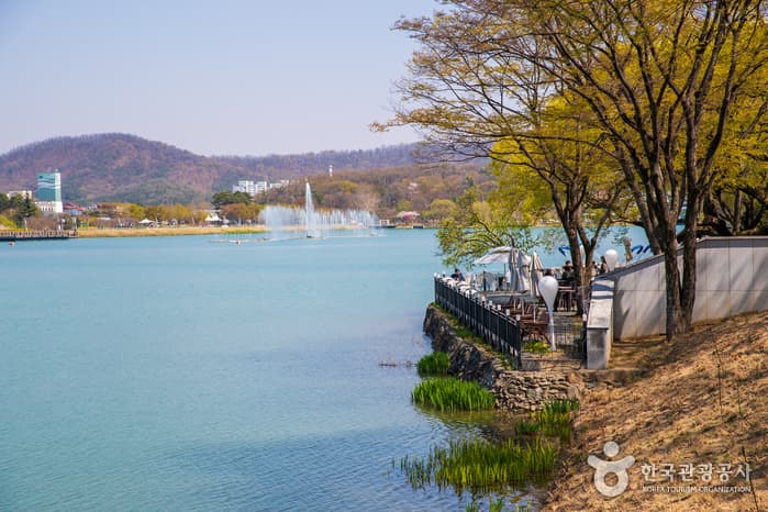 수성못 유원지 대표 이미지