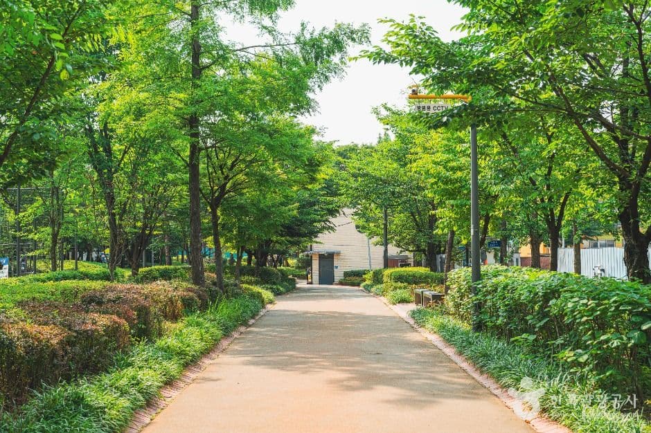 황금내근린공원 대표 이미지