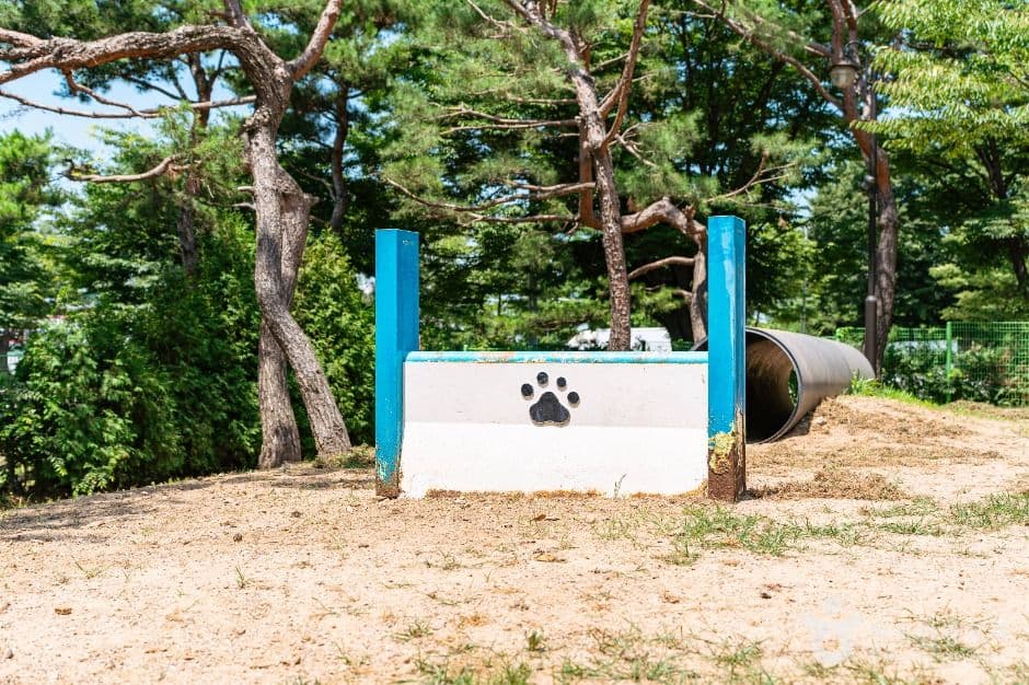 일산호수공원 반려견놀이터 대표 이미지