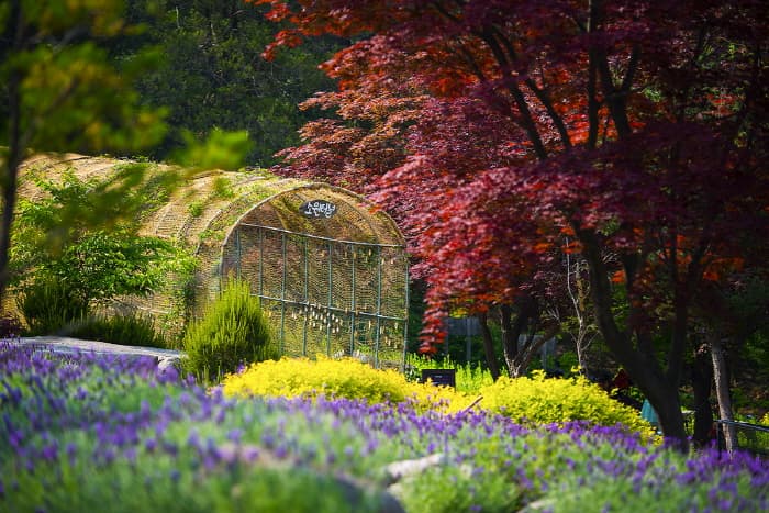 산들소리 대표 이미지