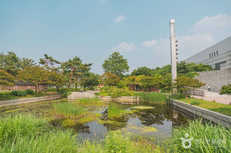 국립중앙박물관 전통염료식물원 대표 이미지