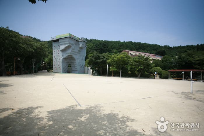 부산광역시 금련산청소년수련원 대표 이미지
