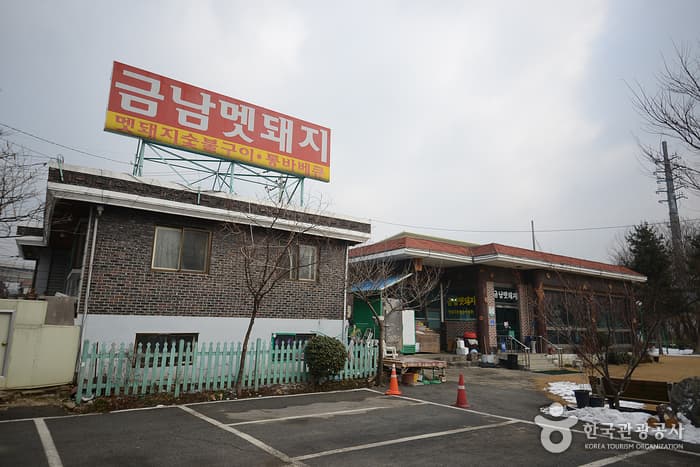 금남멧돼지 대표 이미지