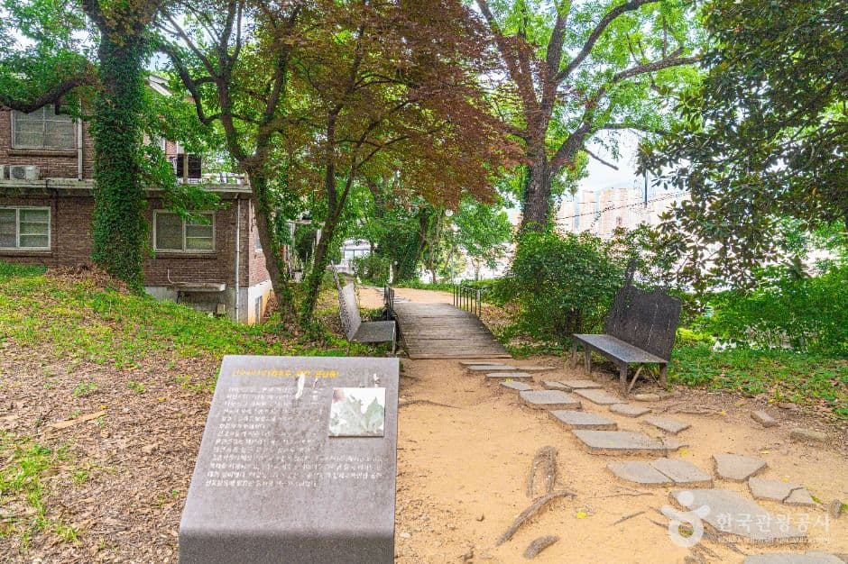 양림동 호랑가시나무길 대표 이미지