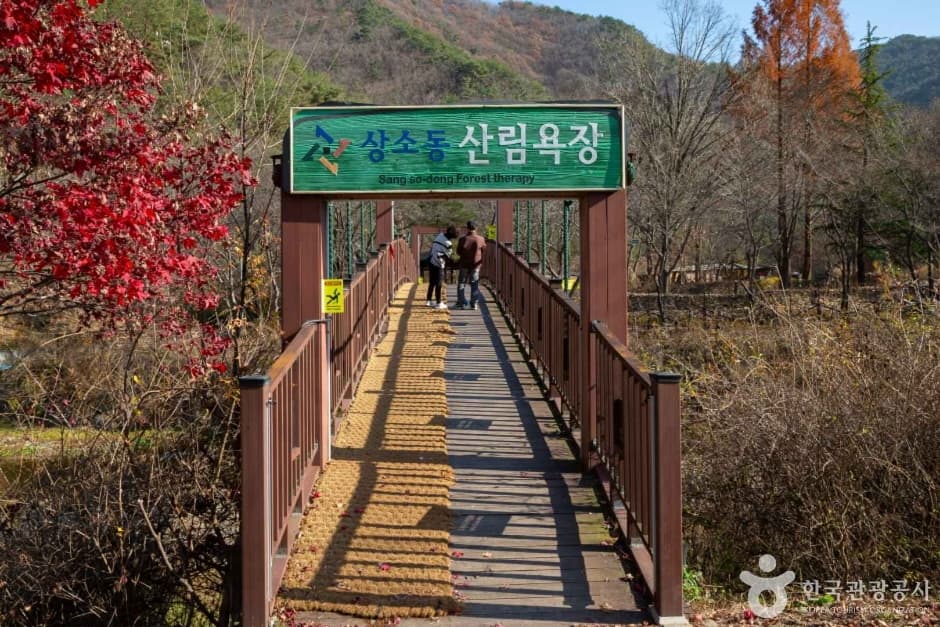 상소동 산림욕장 대표 이미지