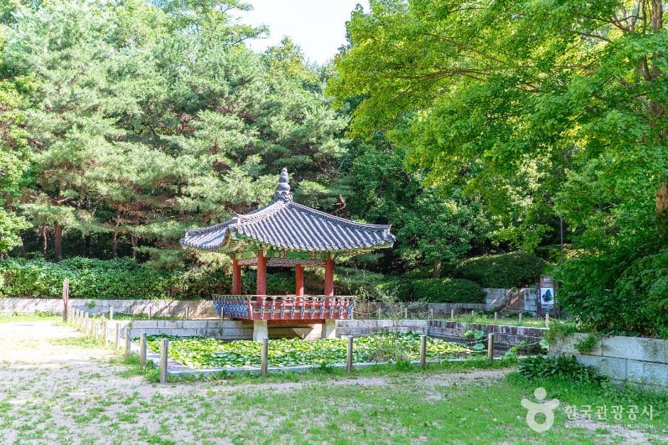 정발산공원 대표 이미지