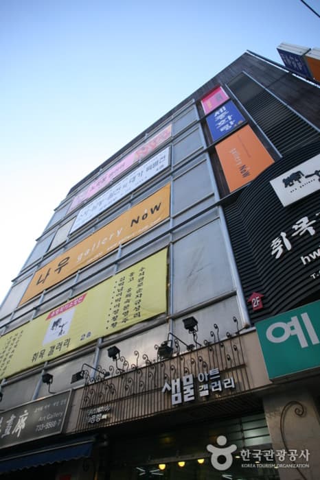 갤러리 나우 대표 이미지