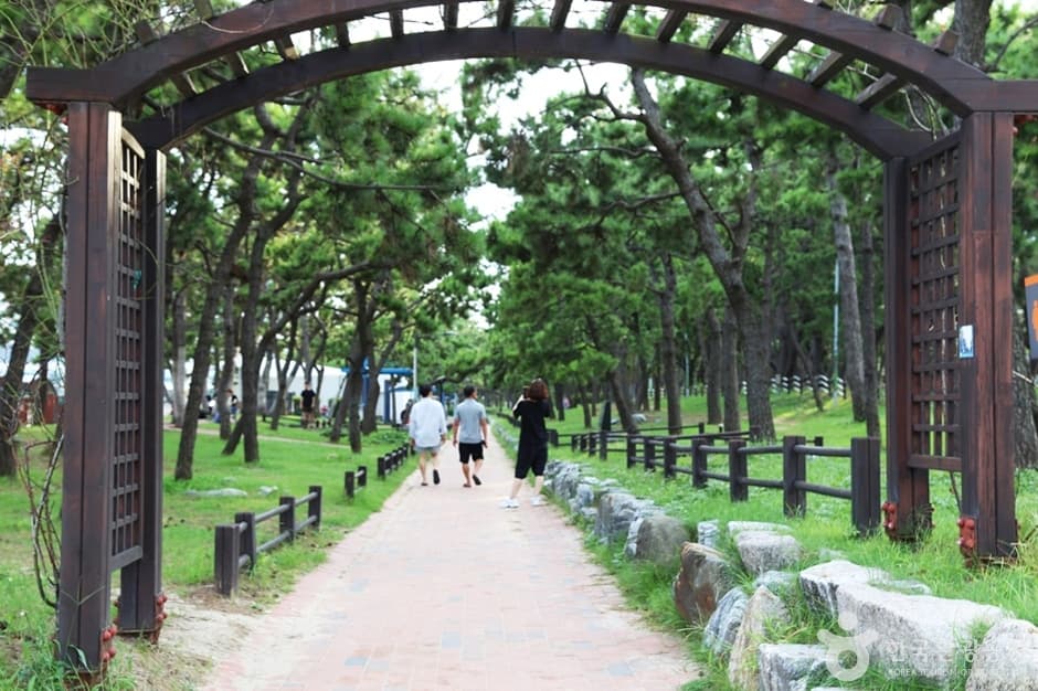 송림공원 대표 이미지