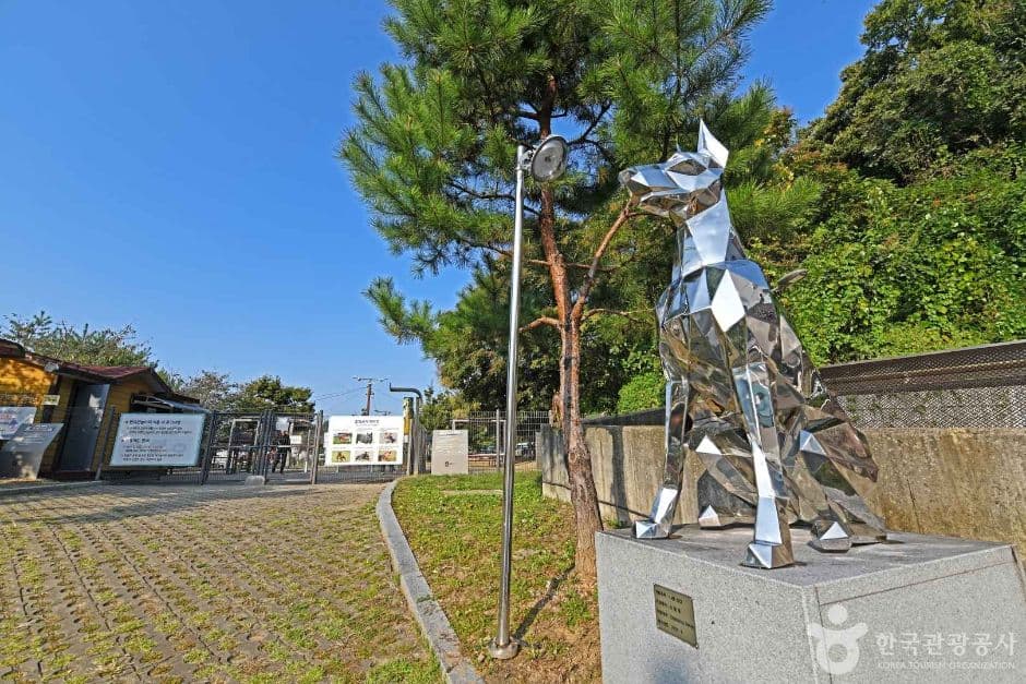 광교호수공원 반려견 놀이터 대표 이미지