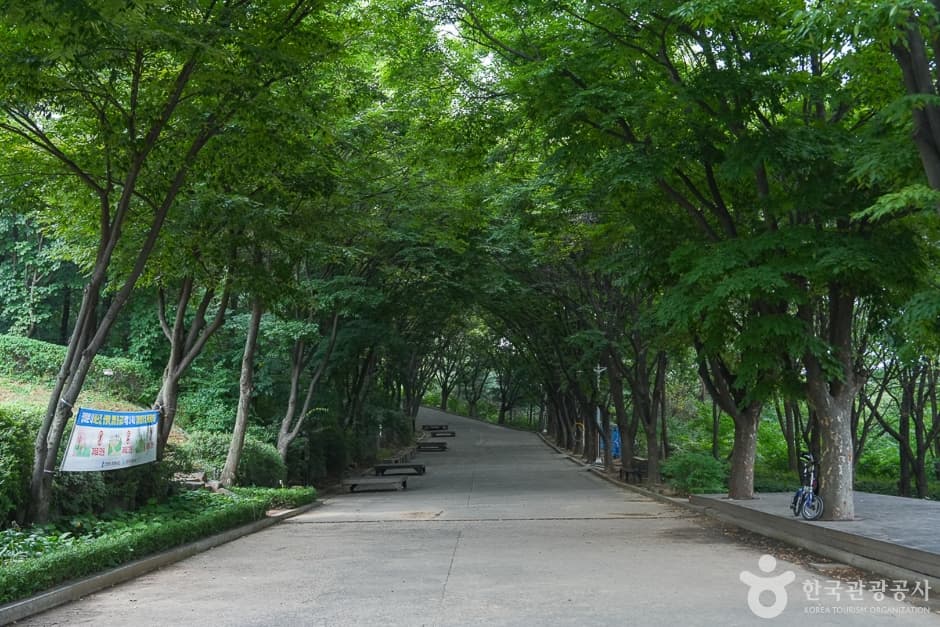 계양산 둘레길 대표 이미지