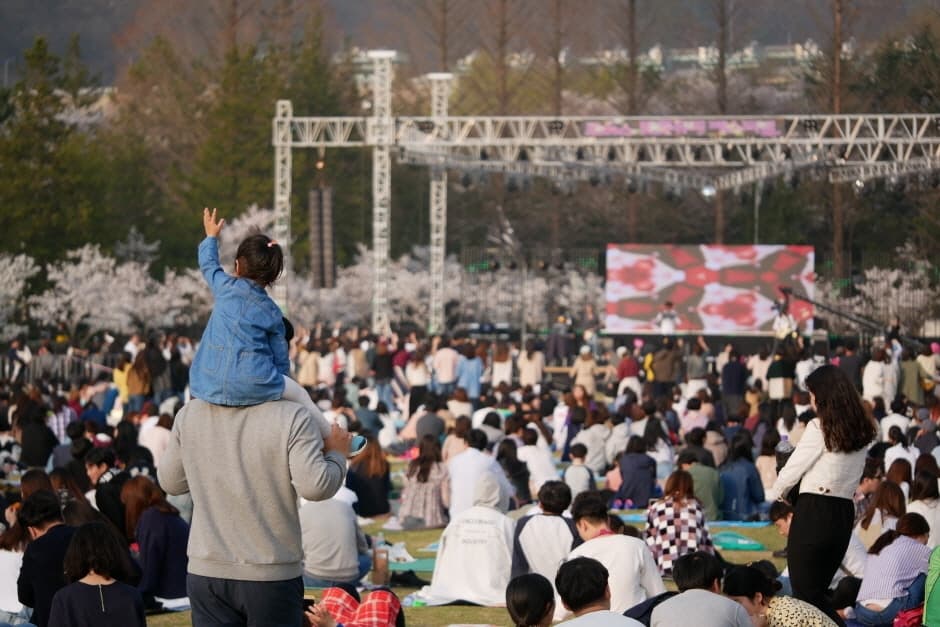 대덕물빛축제 대표 이미지