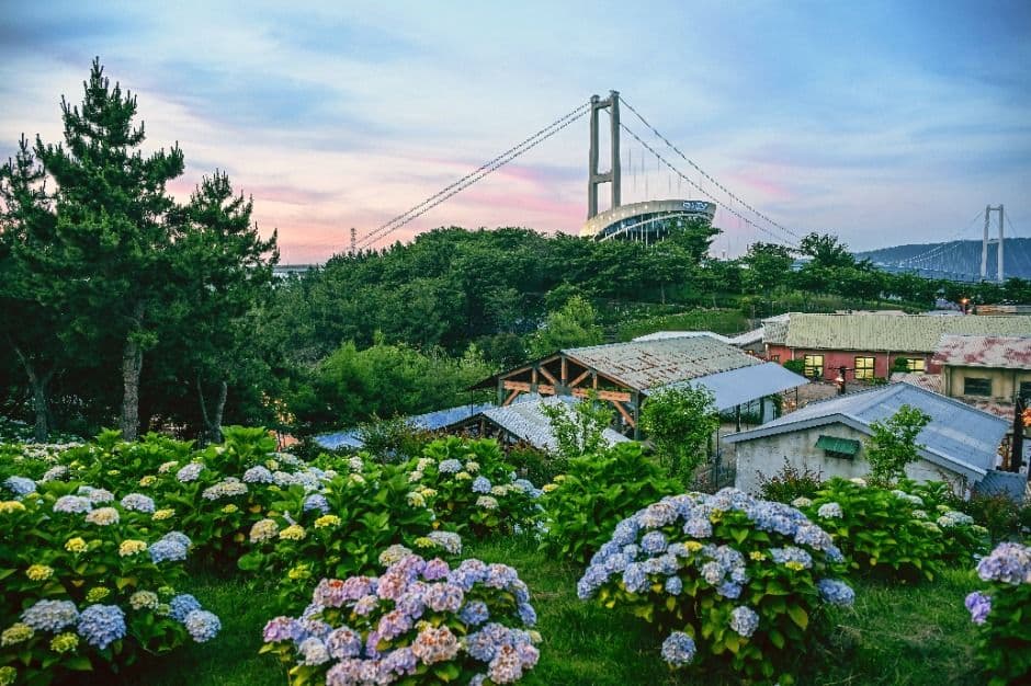 장생포 수국 페스티벌 대표 이미지