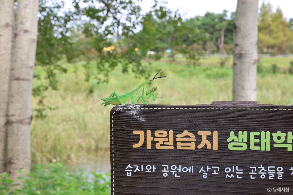 가원습지 생태자연공원 대표 이미지