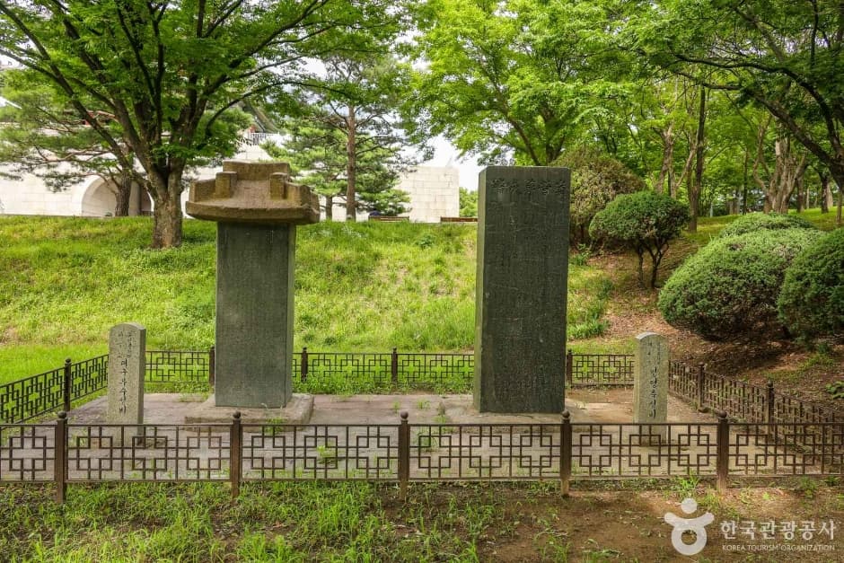 영영축성비 대표 이미지