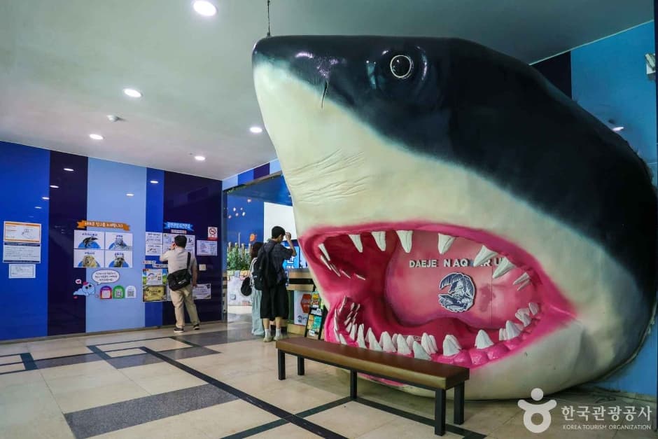 대전아쿠아리움 대표 이미지